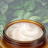 Frankincense Moisturizing Cream