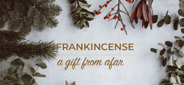 Frankincense, A Gift from Afar